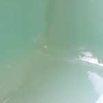 colorbath3